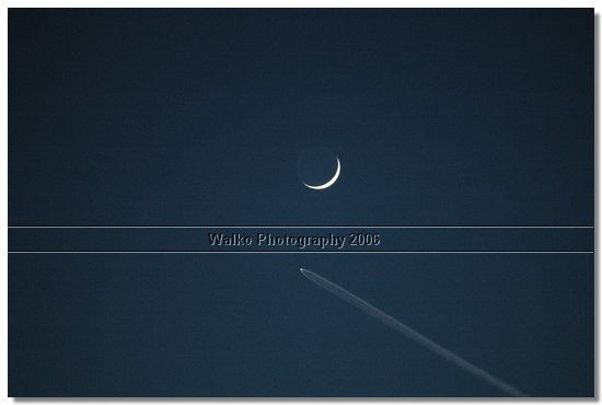 DSC_7404.jpg