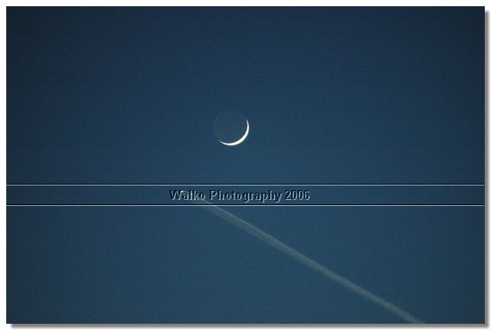 DSC_7405.jpg