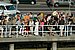DSC_7096.jpg
